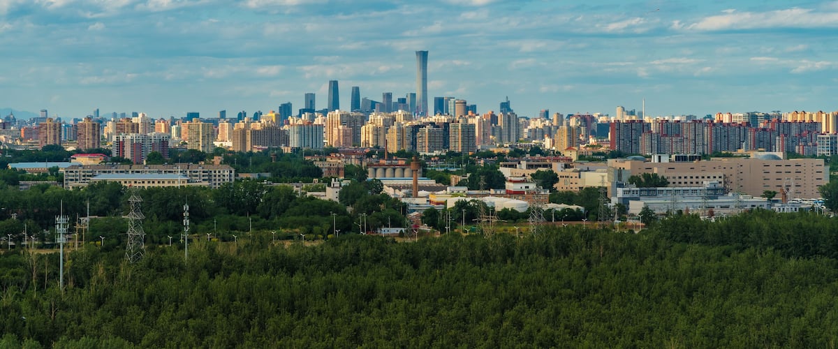 A large forest in Beijing's Nanyuan District and modern urban buildings in the distance