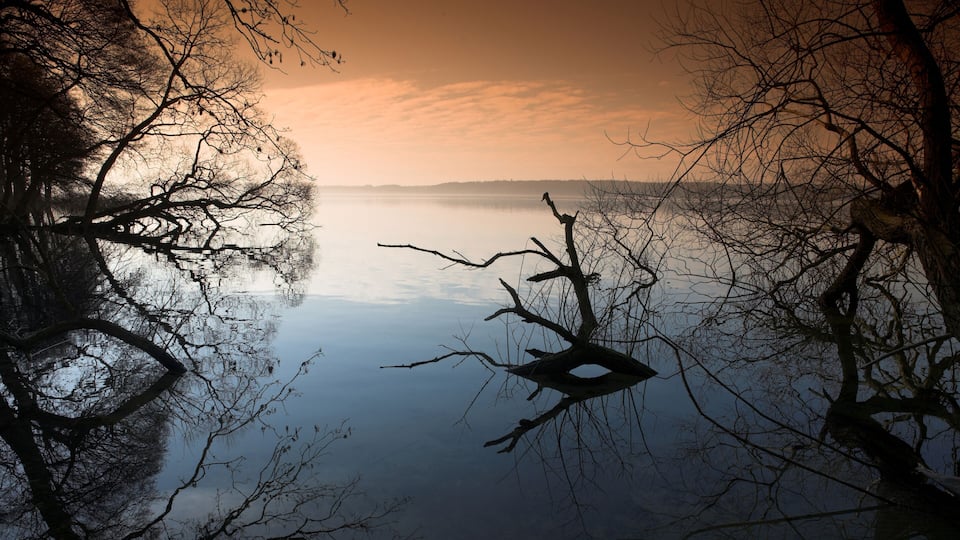A serene lake with reflections of trees and a sunset sky.