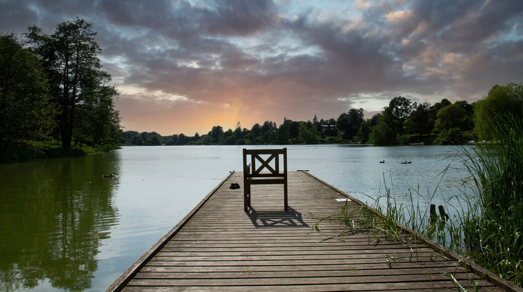 Søllerød Lake - Søllerød Sø in Rudersdal Municipality Denmark