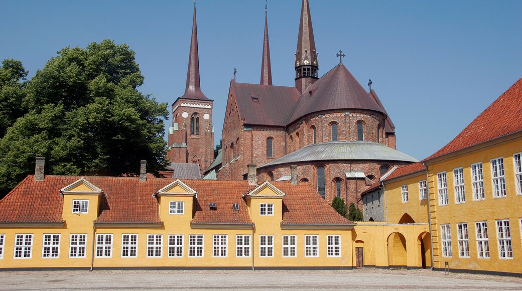 ํคํ๋ฃจ์ค๋ค