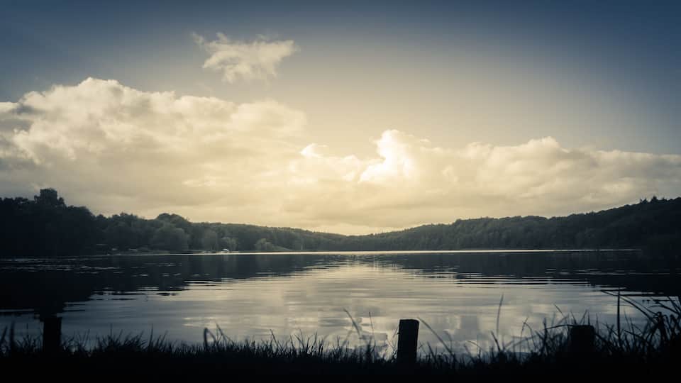 A calm lake with a wooden post in the foreground, surrounded by trees and a cloudy sky.