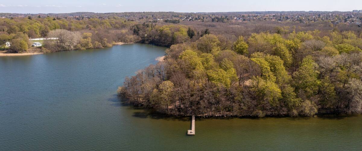 A lake surrounded by dense forest and a small island with a dock.