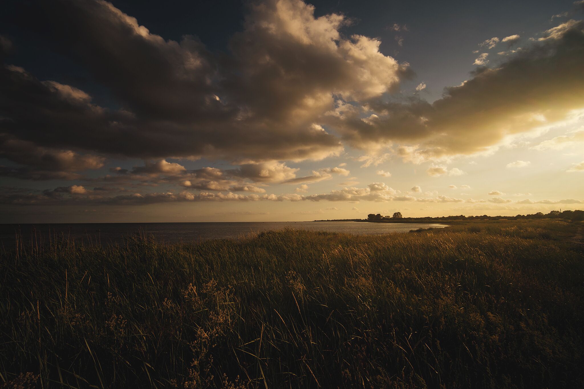 #Nature

Take bus 33 and alight 'Søvang, Rønnevej (Fælledvej)'. All you need to do next is to find a way toward the coast, then from there just walk along the coast toward 'Dragør Badeanstalt' before winding back to the village where to take bus 350S back home. Plenty of photo spots of the idyllic countryside lanes and coastal vistas on offer along the walk, a secret gem lesser known to the tourists. 