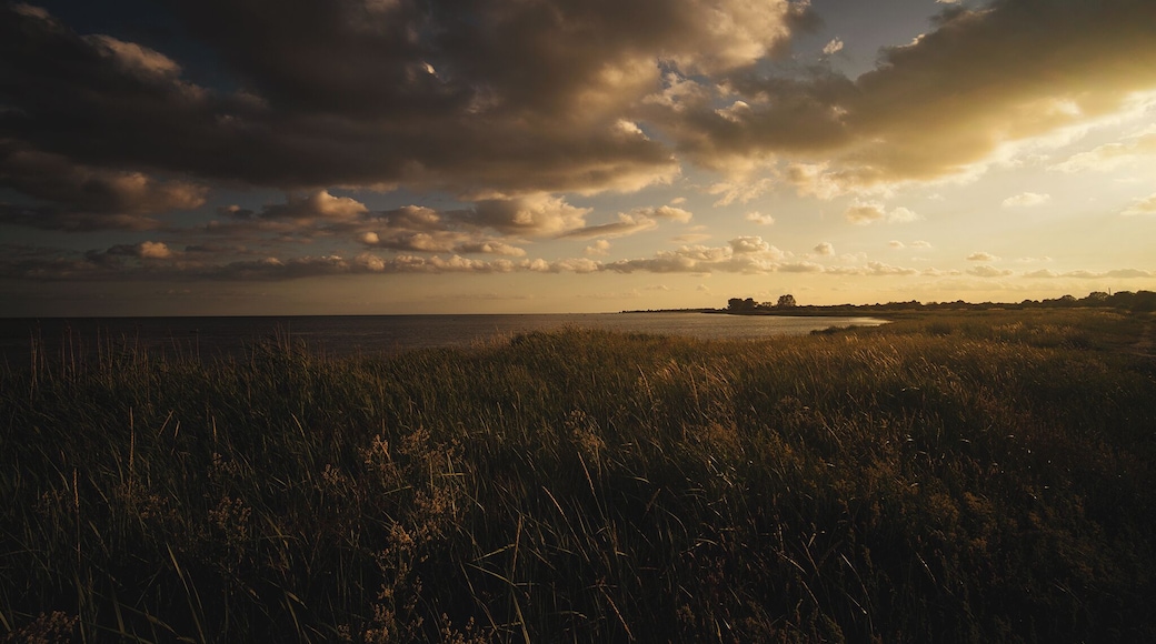 #Nature
Take bus 33 and alight 'Søvang, Rønnevej (Fælledvej)'. All you need to do next is to find a way toward the coast, then from there just walk along the coast toward 'Dragør Badeanstalt' before winding back to the village where to take bus 350S back home. Plenty of photo spots of the idyllic countryside lanes and coastal vistas on offer along the walk, a secret gem lesser known to the tourists.