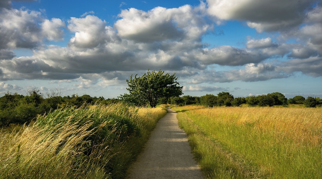 Lesser known gem along the coast of Dragor!