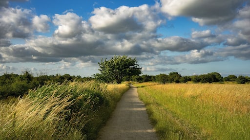 Lesser known gem along the coast of Dragor!