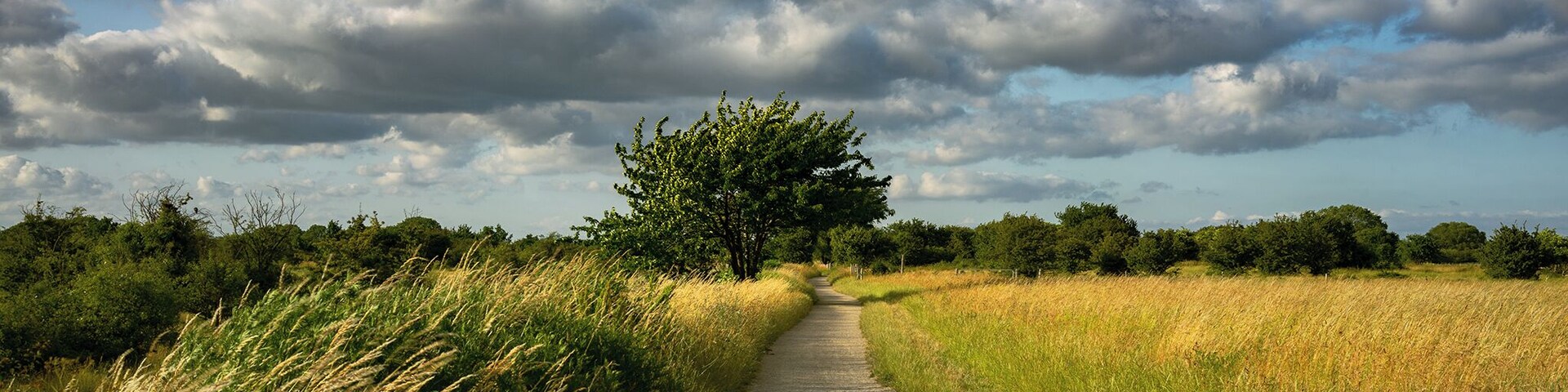 Lesser known gem along the coast of Dragor!