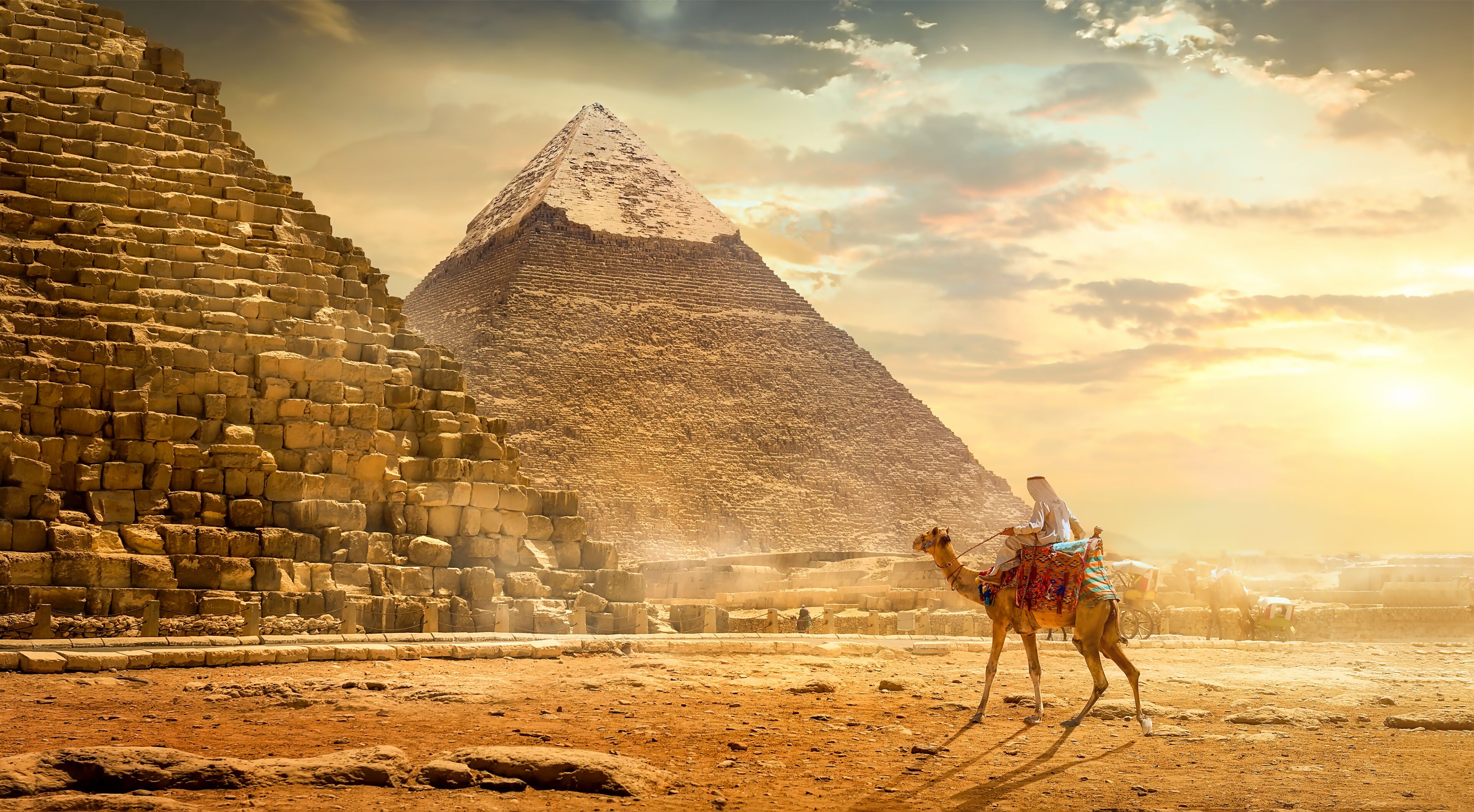 Camel near pyramids