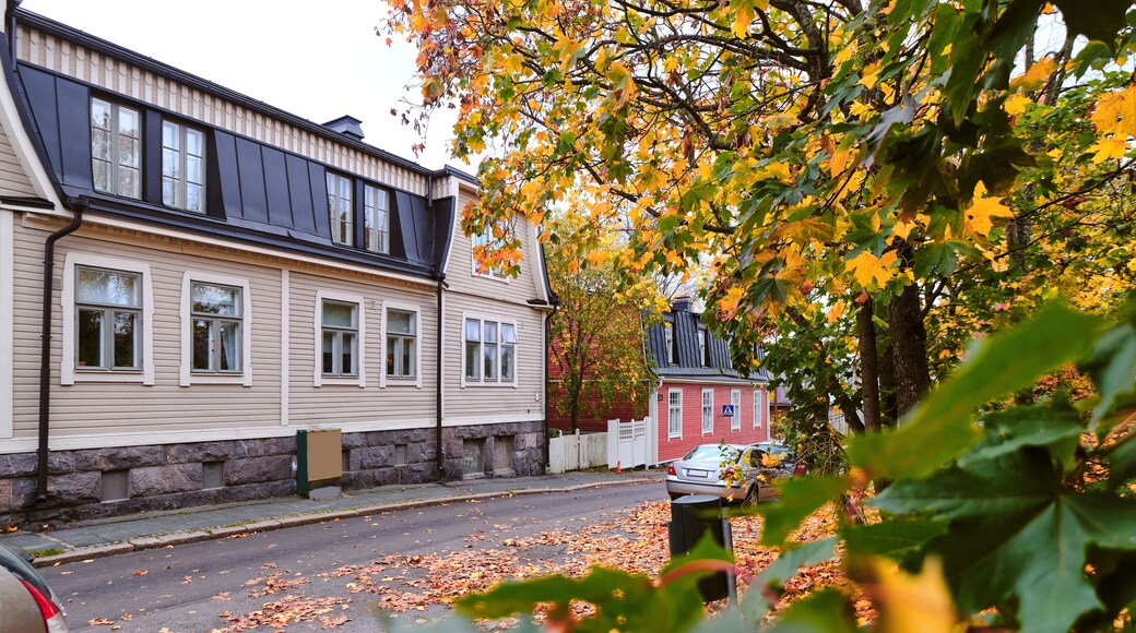 The old wooden district Puu Vallila of Helsinki, Finland. Autumn cityscape.