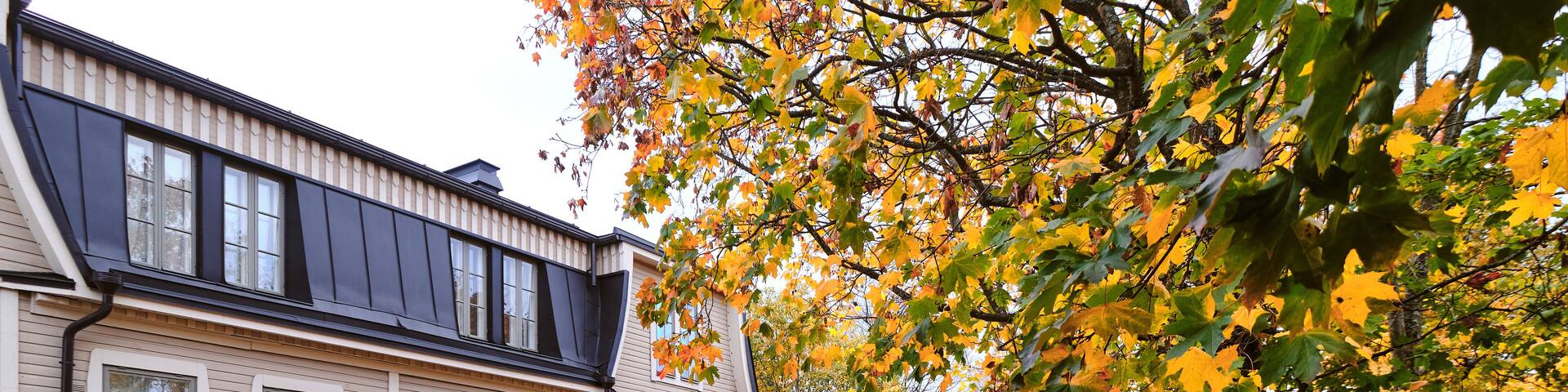 The old wooden district Puu Vallila of Helsinki, Finland. Autumn cityscape.