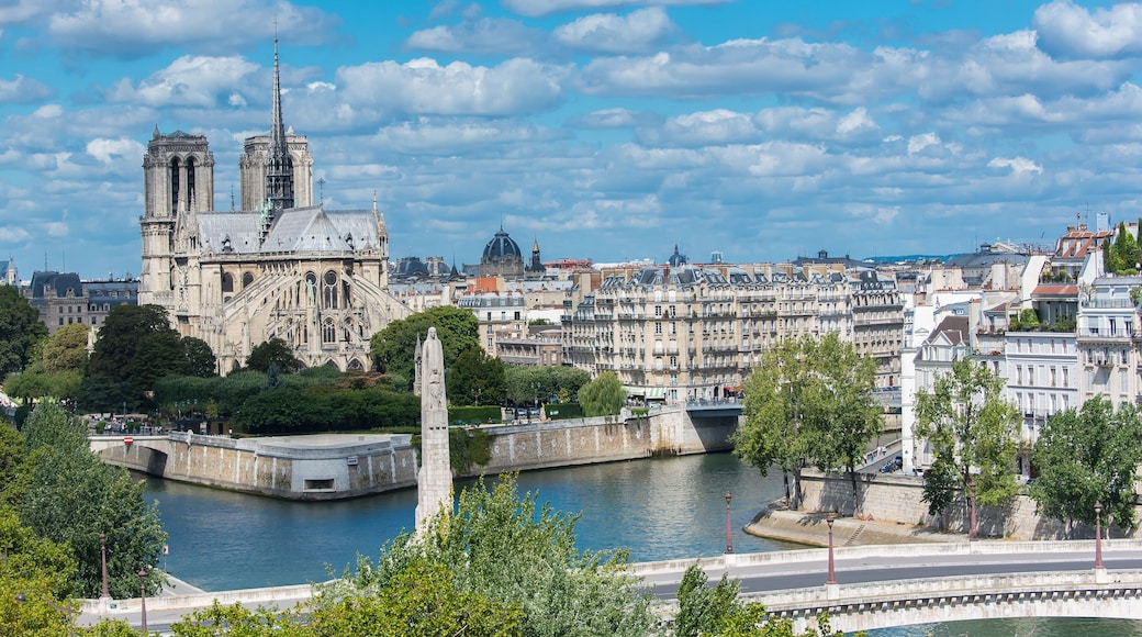Paris, panorama of Notre-Dame cathedral and the Tournelle bridge in the center, ile de la Cite and ile Saint-Louis