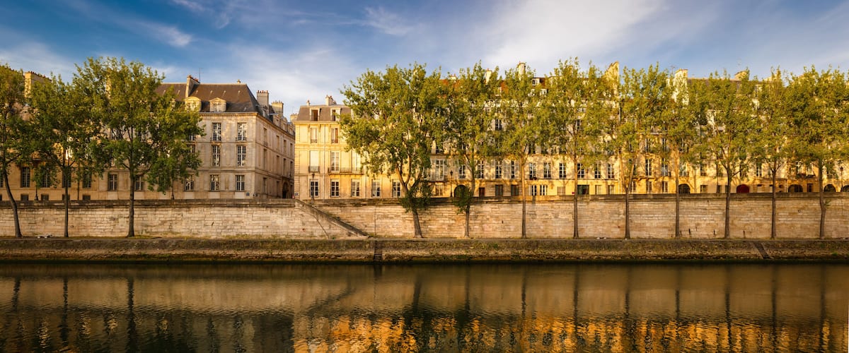 Early morning light on the River Seine banks in Paris. View of Ile Saint Louis with its bank lined with aspen trees. Paris (4th arrondissement) in the summer; Shutterstock ID 475817245; Purchase Order