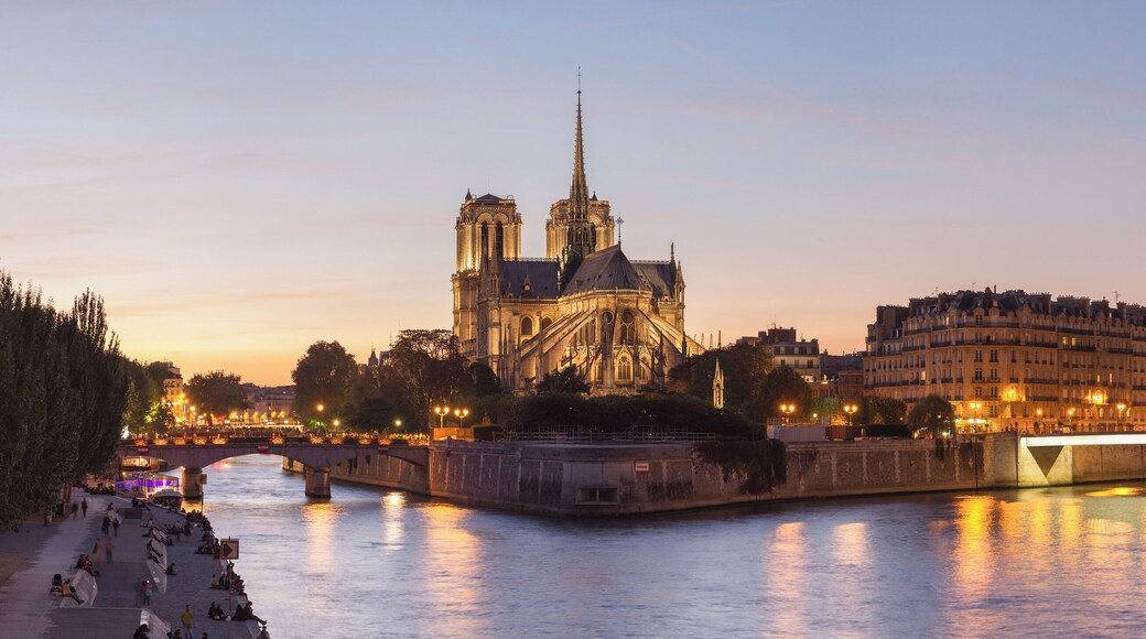 Notre-Dame cathedral at dusk, as viewed from Tournelle bridge, on île de la cité, earth of Paris, France.