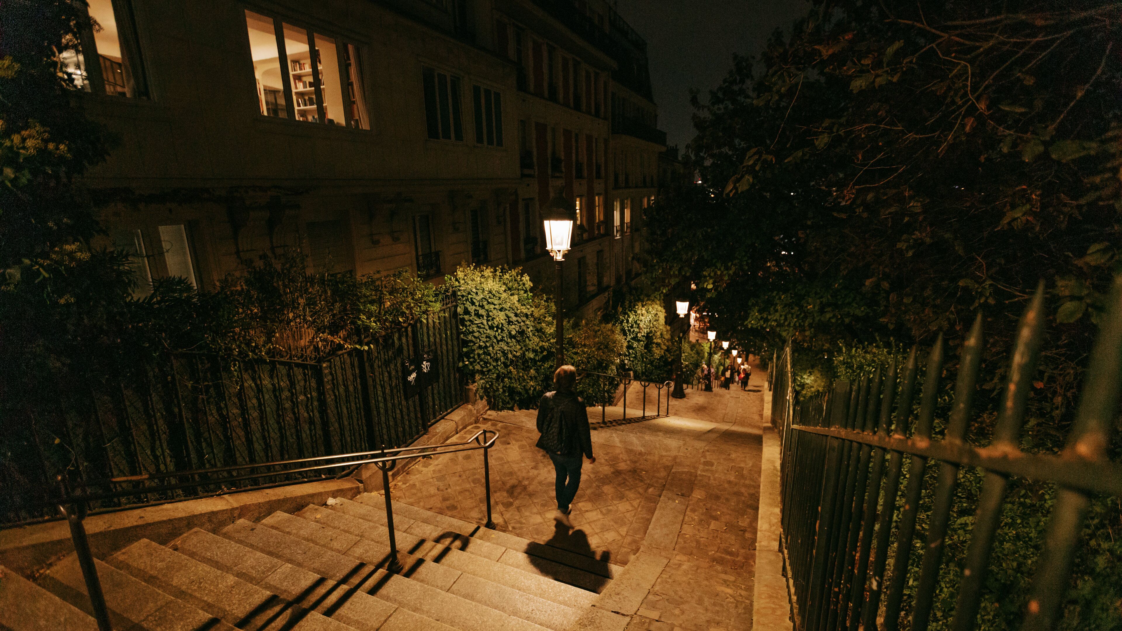 Montmartre featuring night scenes and street scenes as well as an individual femail