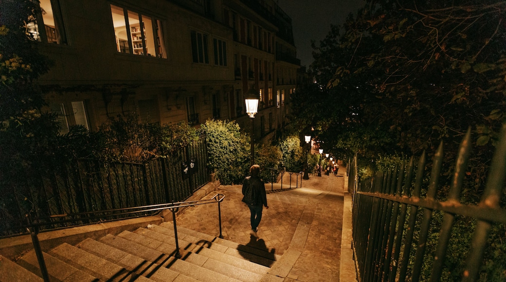 Montmartre featuring night scenes and street scenes as well as an individual femail