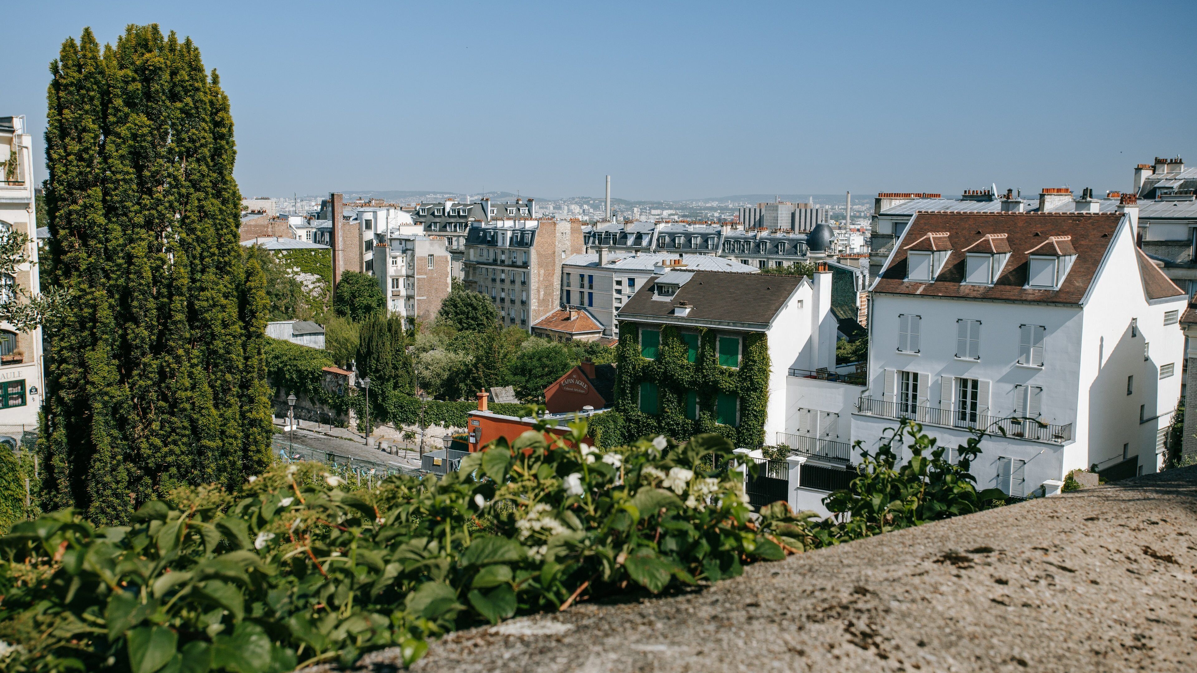 Montmartre showing landscape views and a city