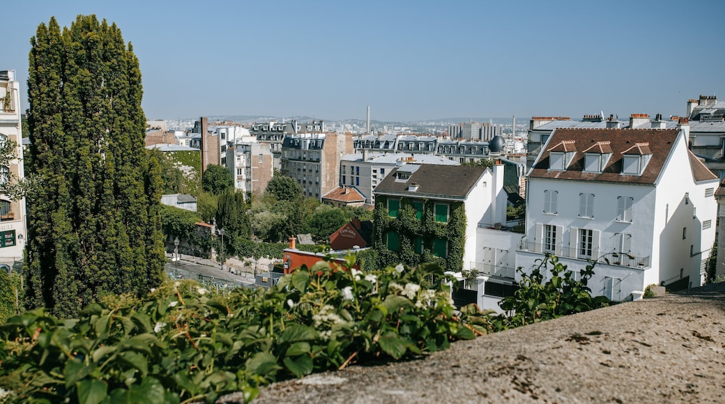 Montmartre showing landscape views and a city