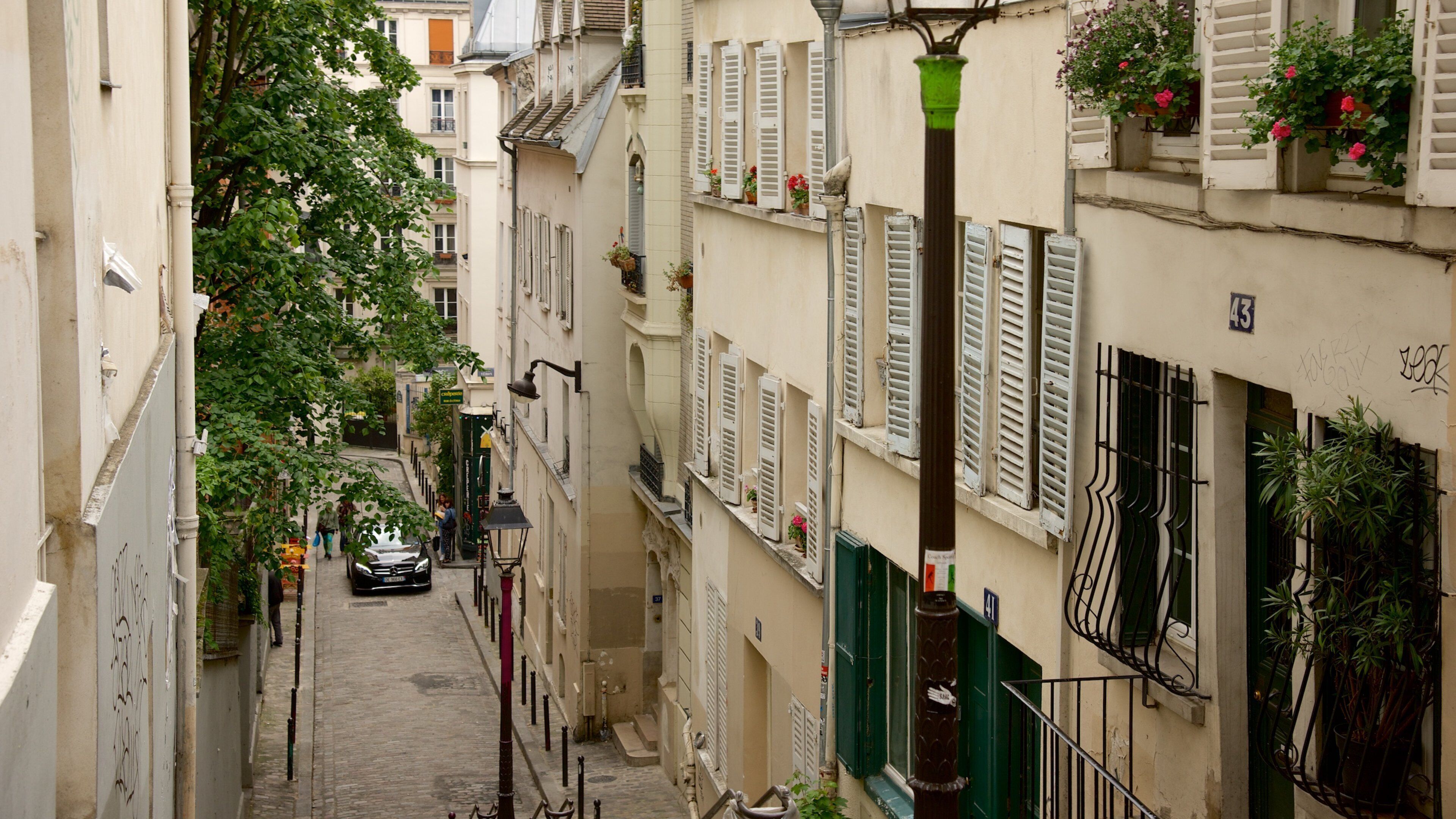 A narrow cobblestone street lined with historic buildings, shutters, and potted plants.