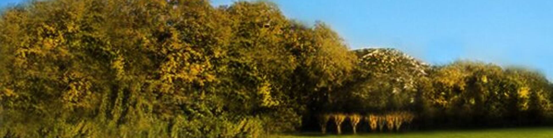 Park "Maison Blanche" in Marseille