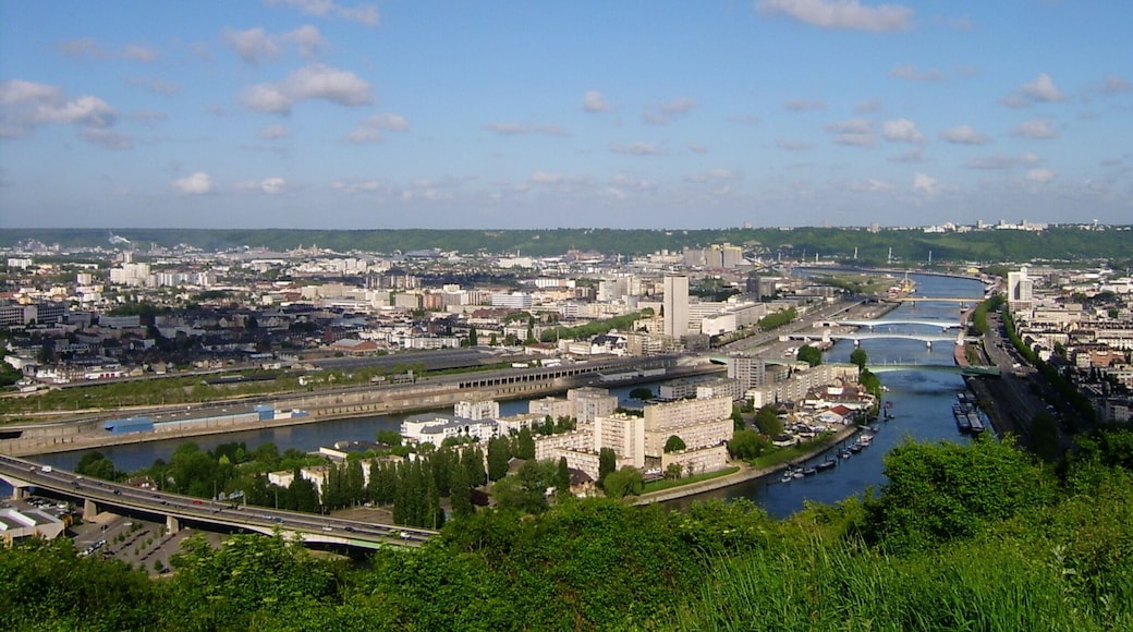 Panorama île Lacroix et rive gauche de Rouen