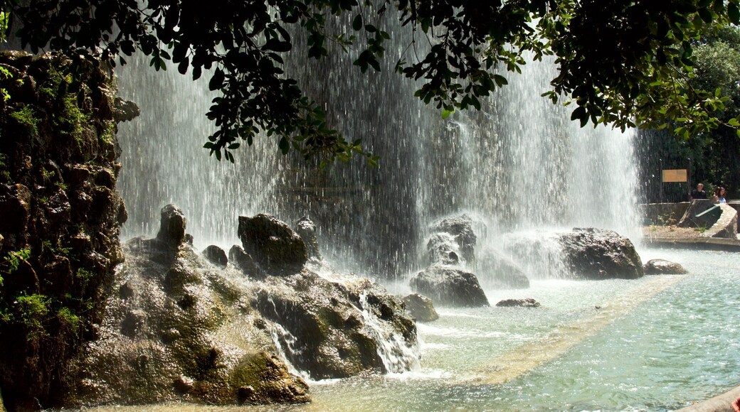 Castle Park featuring a cascade