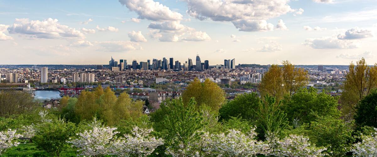 A city skyline with modern buildings, a river, and blooming trees.