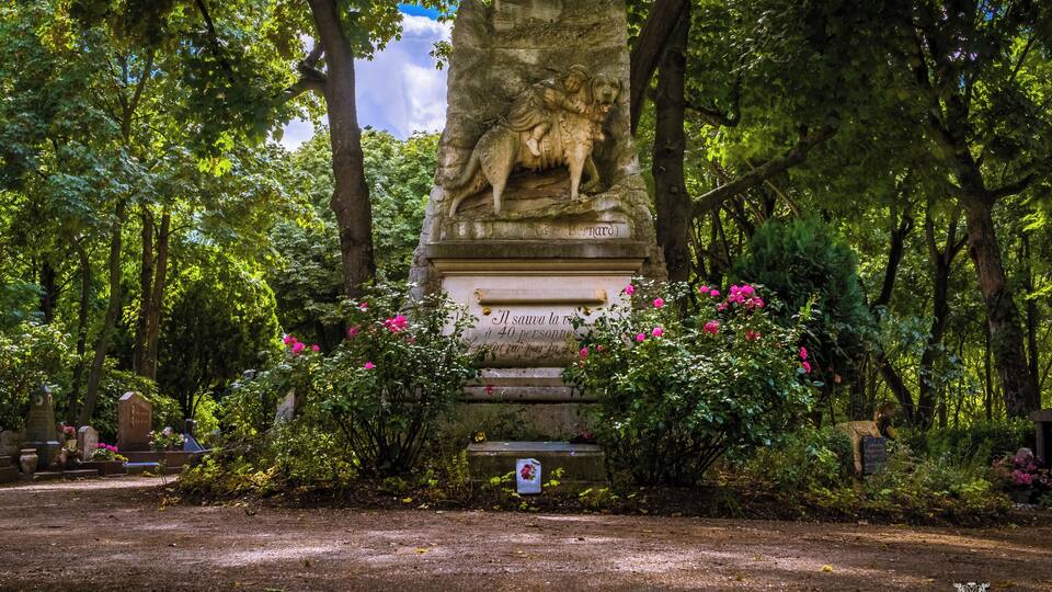 A statue of a man and a dog in a park surrounded by trees and flowers.