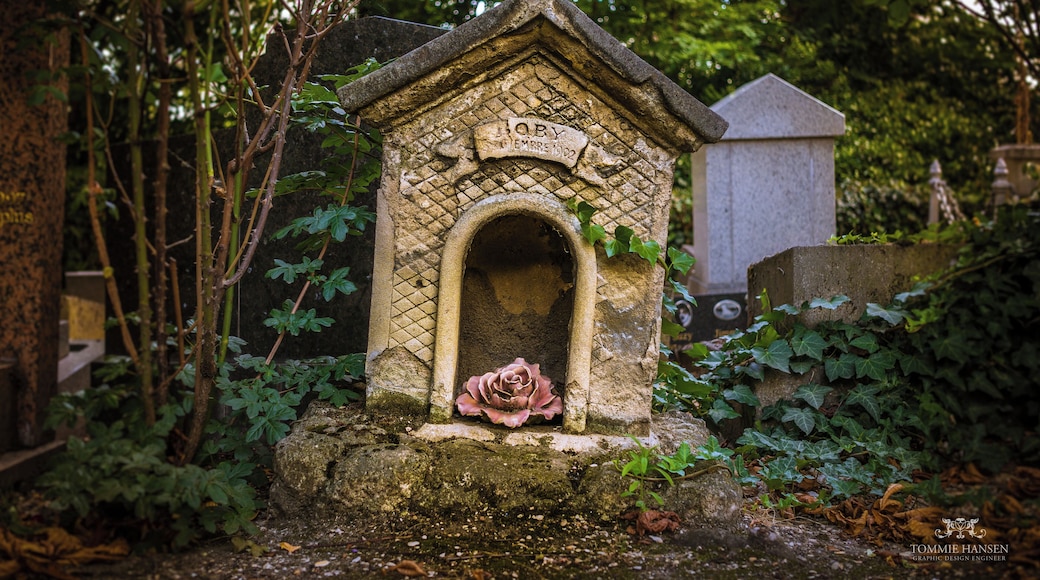 Cimetière des Chiens (Pet Cemetery), Asnières-sur-Seine, France.