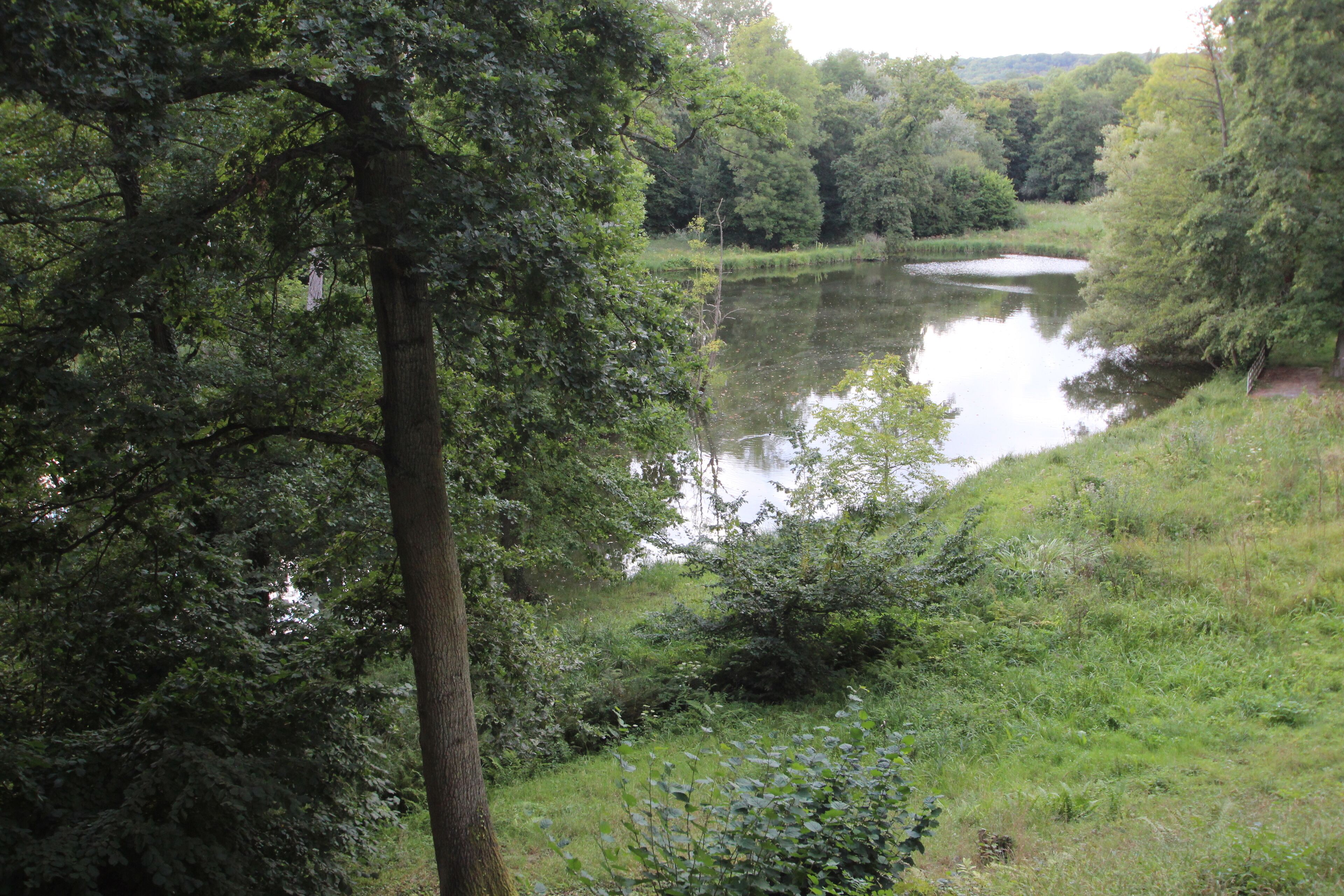 A calm river surrounded by dense greenery and trees.