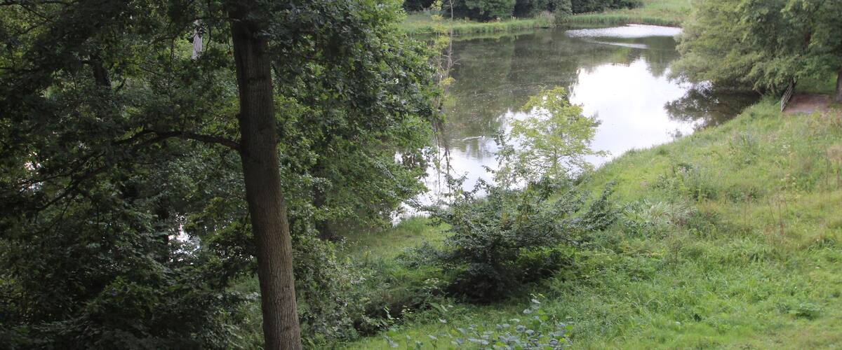 A calm river surrounded by dense greenery and trees.