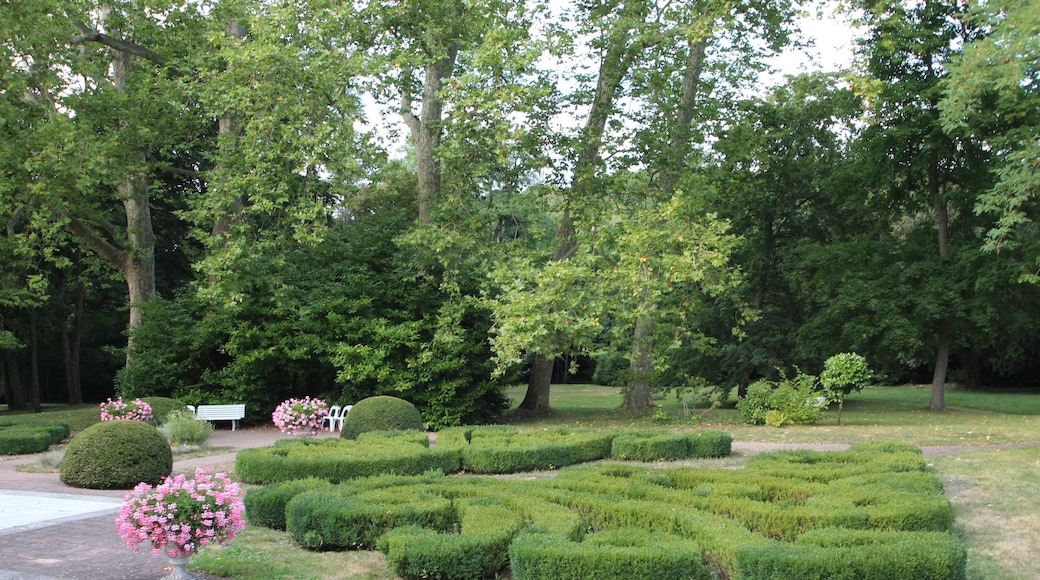 ChĂąteau des Roches (Rocks Castle in french) houses the literary house of Victor Hugo and is located at 45 Vauboyen street in BiĂšvres, Essonne, France.