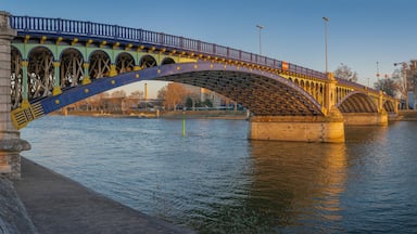 Un puente arco de acero sobre un río, con un paisaje urbano al fondo.