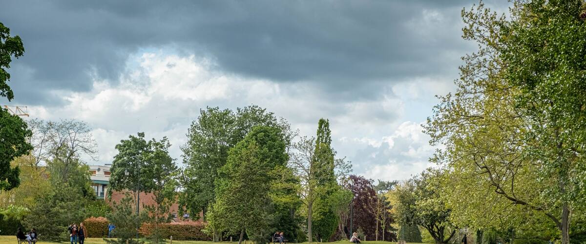 A park with a pond, trees, and people walking and sitting.