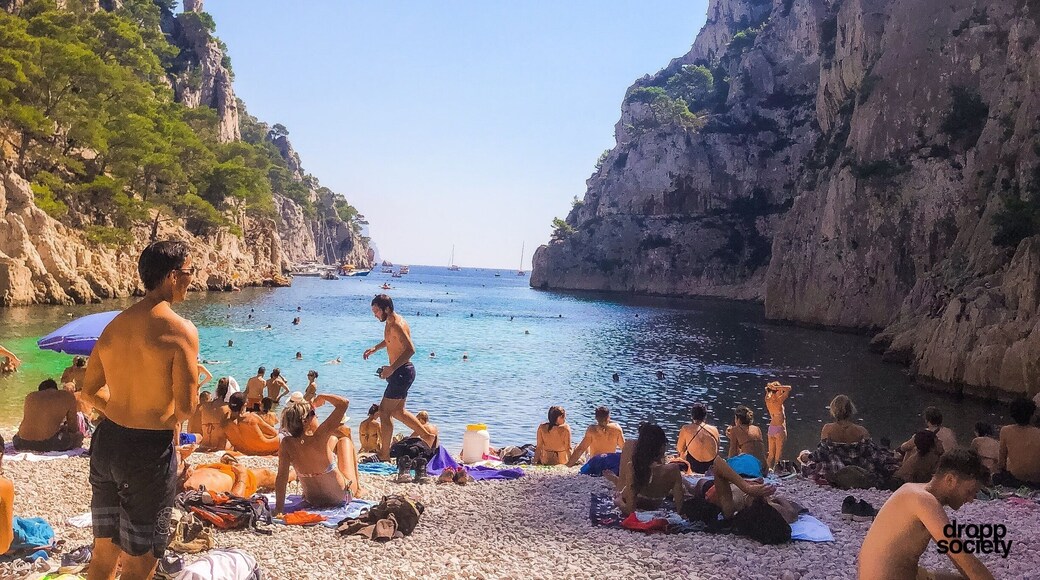 Calanques beach 🏖 🇫🇷
#droppsociety
#france