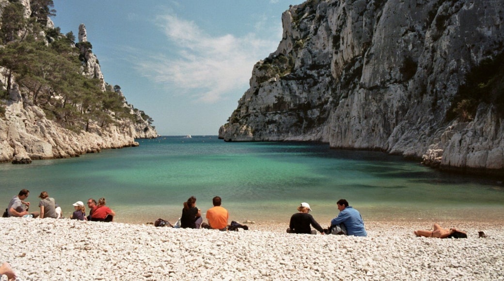 J'aime bien la Kodak Ektar 100.