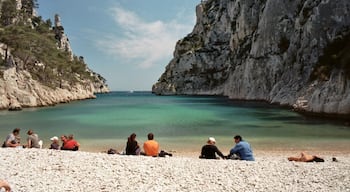 J'aime bien la Kodak Ektar 100.