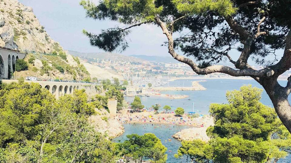 A coastal landscape with a bridge, a beach, and a tree.