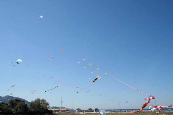 Kites flying along the Prado beaches at the Marseilles International FĂȘte du Vent on september.
#france #outdoors #getaway #troveon #SkyFullOfColor
