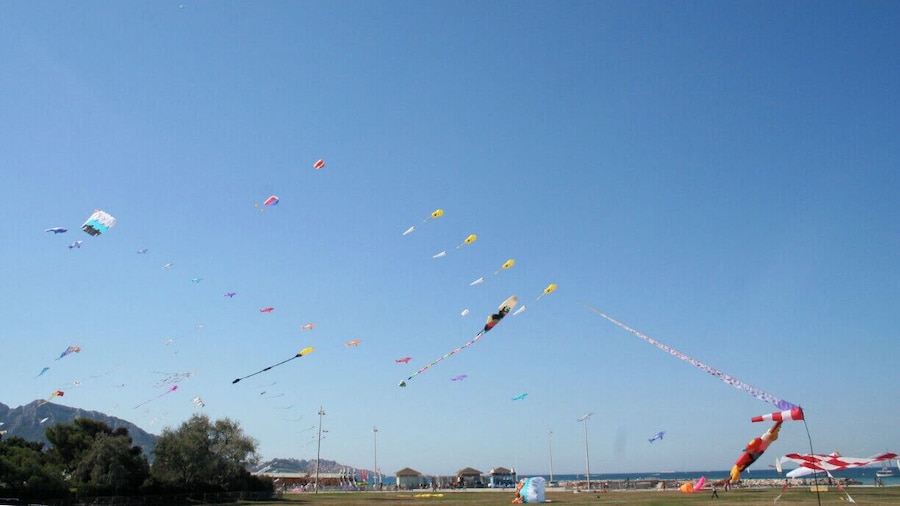 Kites flying along the Prado beaches at the Marseilles International Fête du Vent on september.
#france #outdoors #getaway #troveon #SkyFullOfColor