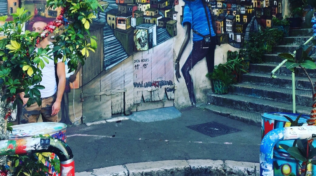 Jolie petite ruelle des artistes de Marseille avec beaucoup de street art à découvrir lors d'une balade en matinée loin de la foule de touristes