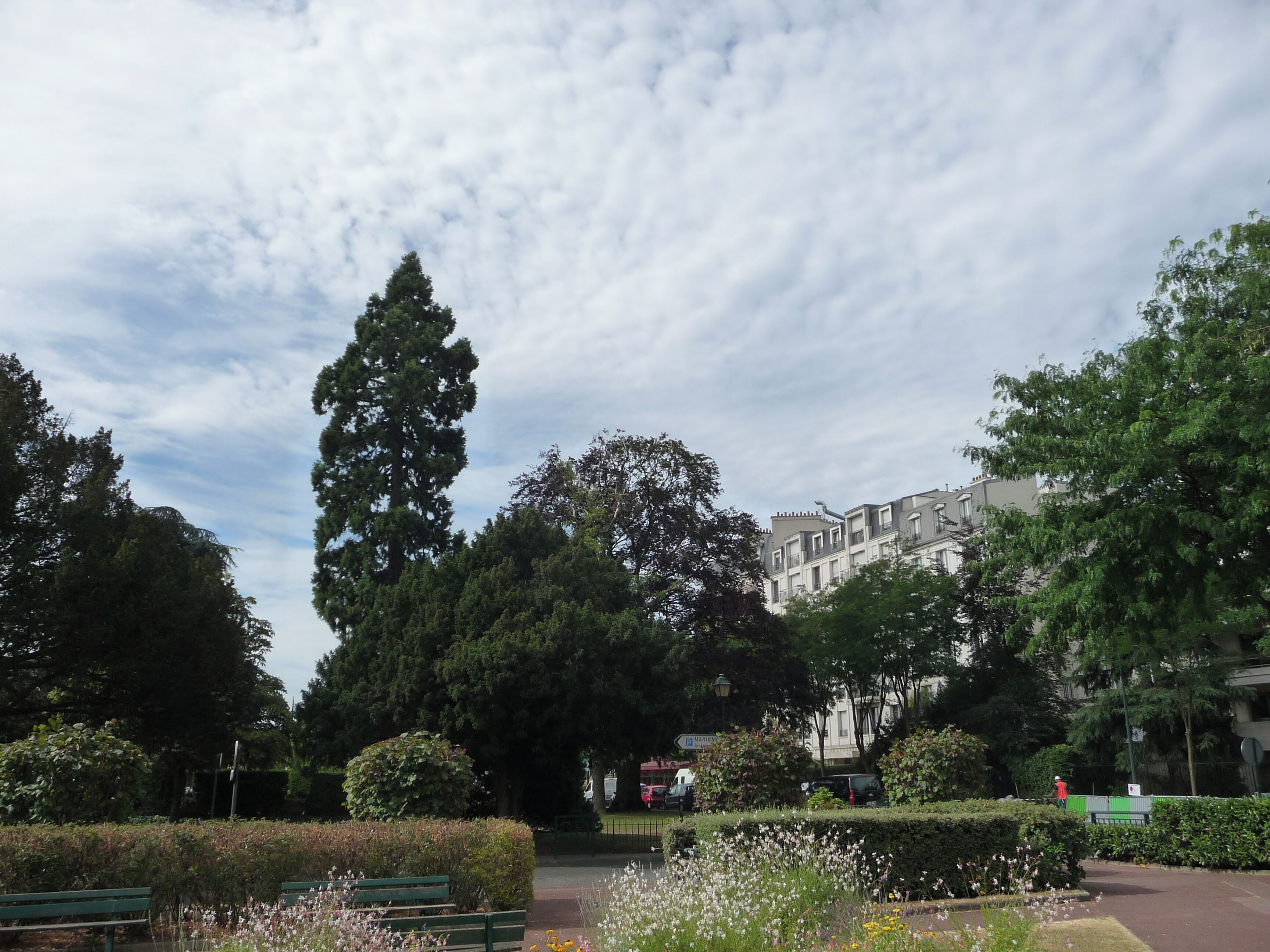 Um parque com bancos, flores e árvores.