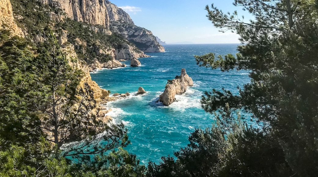 Calanques, creeks of marseille