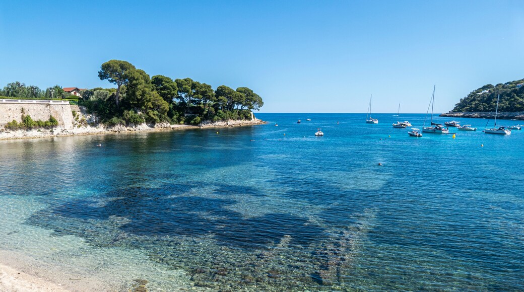 جيناك لا نيرتي