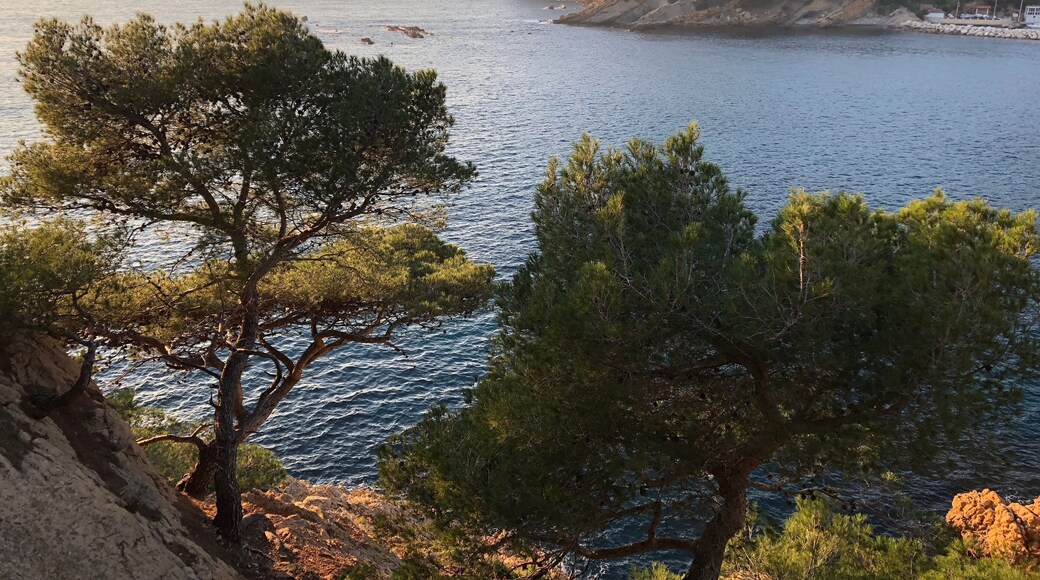 Côte Bleue, West of Marseille, France. Really pretty trail from Ensuès, along the Calanques. Lesser known than the Cassis side, but just as pretty.
