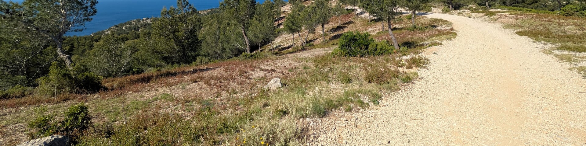 Sunny Mediterranean trail winding through pine forest with sea view, open blue sky, and natural landscape. Ensuès-la-Redonne, Ensues-la-Redonne, Bouches-du-Rhône, France, Provence