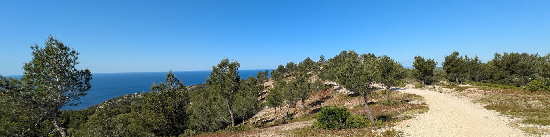 Sunny Mediterranean trail winding through pine forest with sea view, open blue sky, and natural landscape. Ensuès-la-Redonne, Ensues-la-Redonne, Bouches-du-Rhône, France, Provence