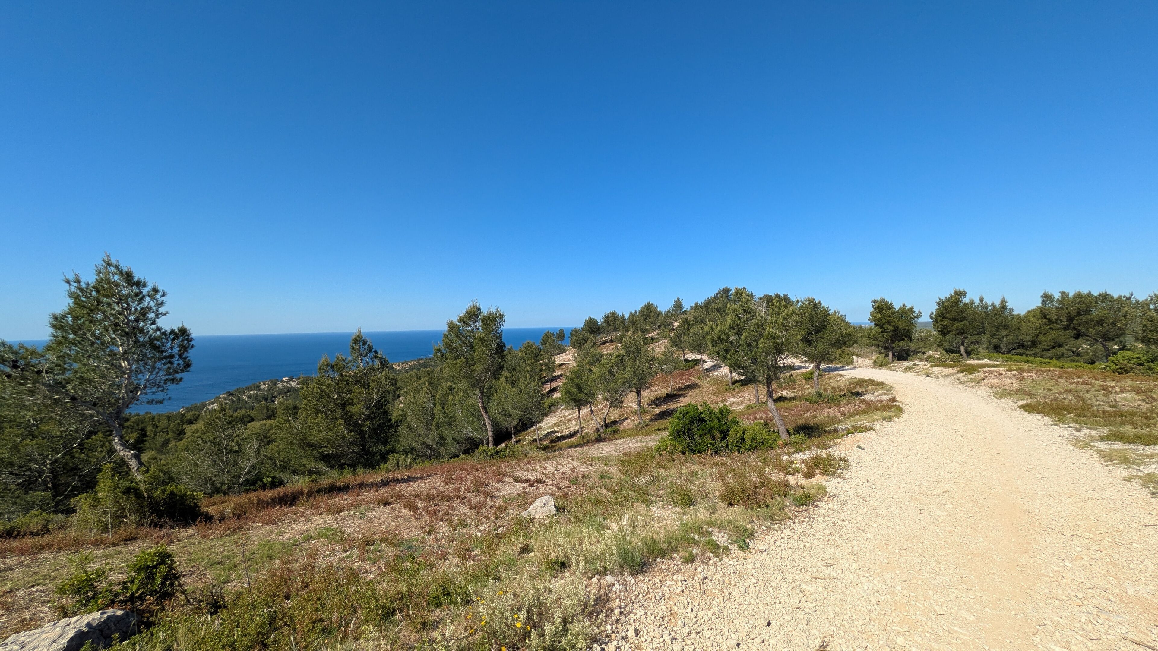 A dirt path leading through a mountainous area with pine trees and a view of the sea.