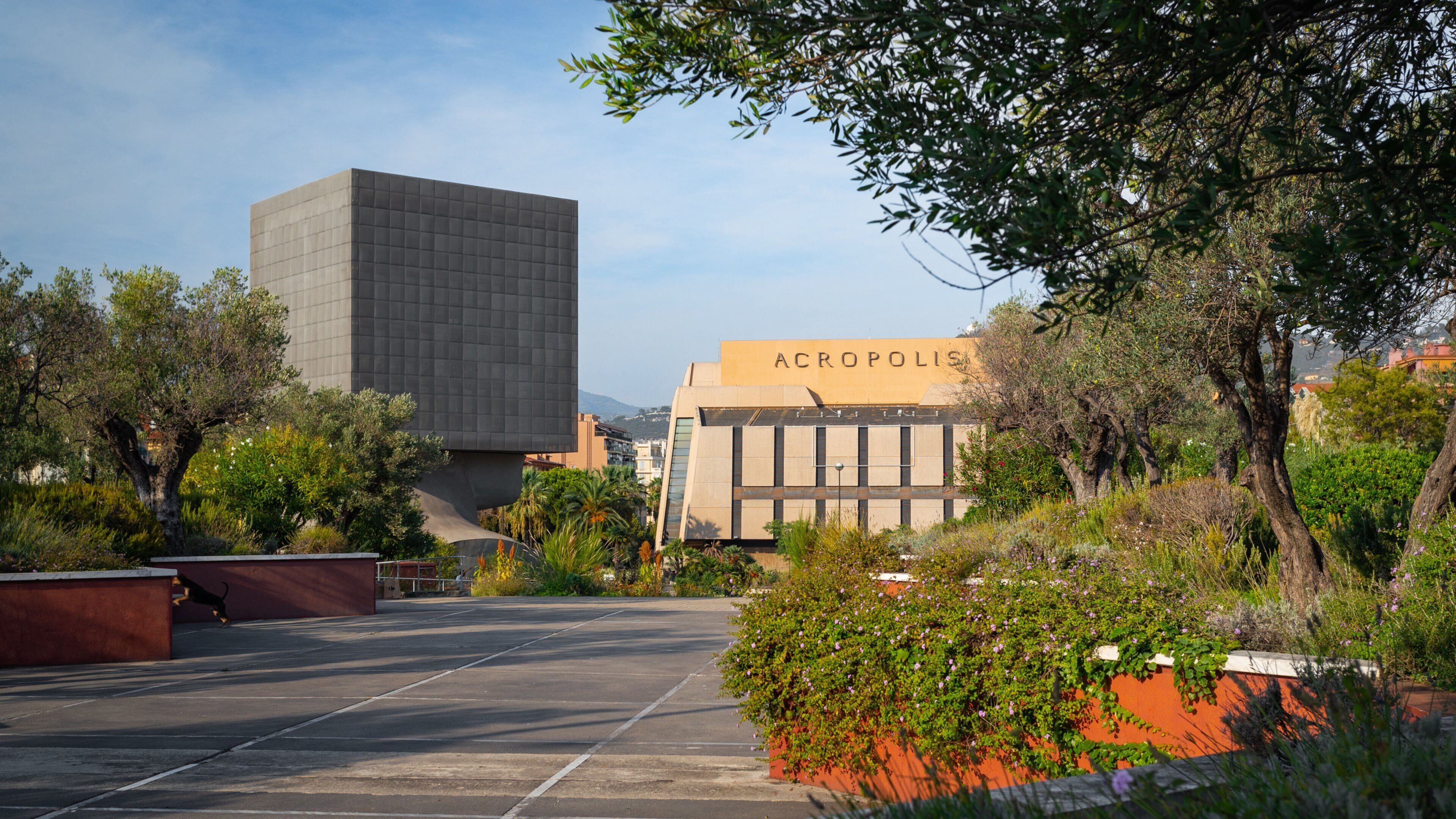 Cimiez showing a park