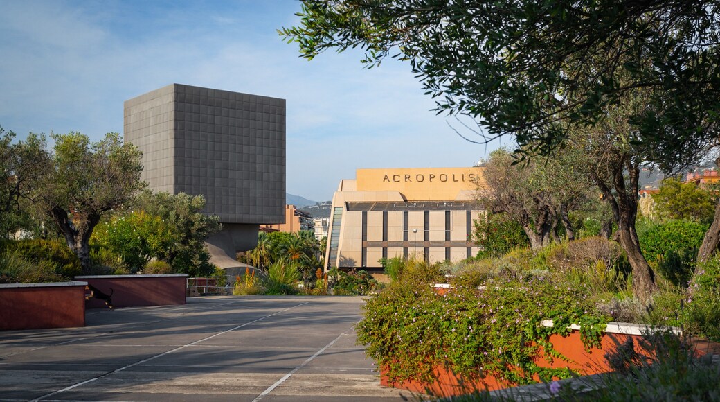 Cimiez showing a park