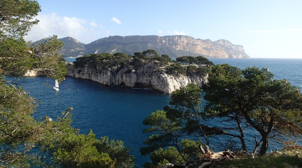 Nice blue colour on sunny day